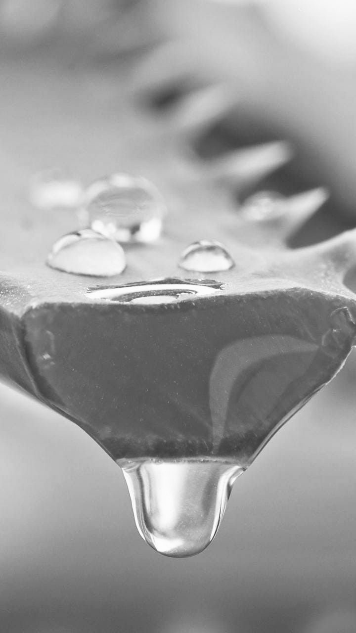 iluris Lab Anti-Age Day Cream (50 ml) - Image 2