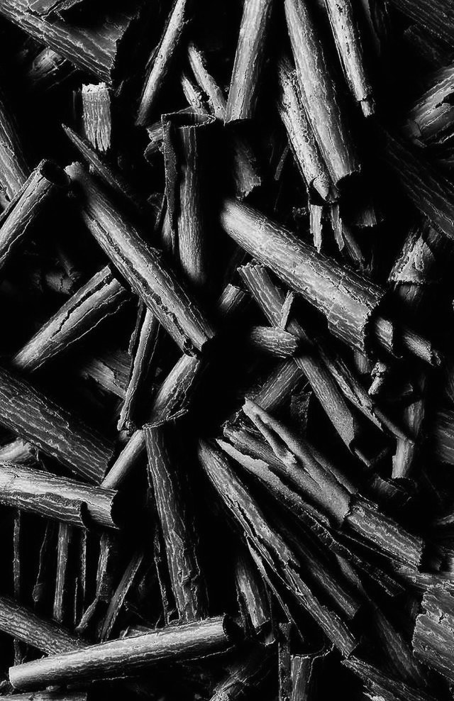 iluris Lab Silk Skin Body Serum – Spices & Sandalwood 270 ml - Image 3